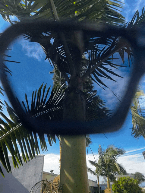 Vanguard - Liberated Eyewear, Inc.